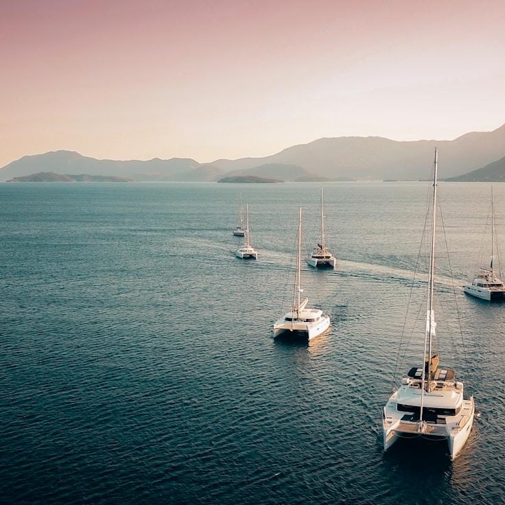 EvenFieldRegistry yacht fleet